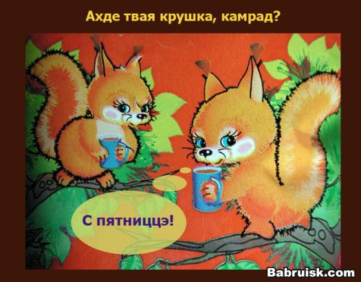 белки