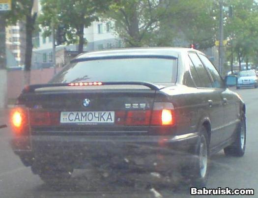 самочка