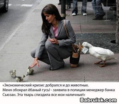 гусь в яблоках