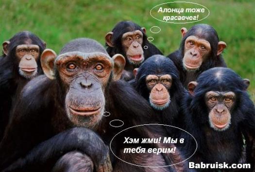 планета обезьян