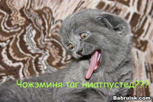 пьянь подзаборная