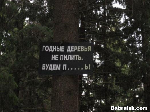 берегите природу, мать вашу
