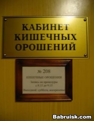 кишечная палочка. фото под микроскопом