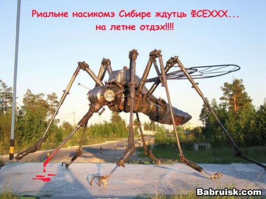 Новосибирск, Академгородок, Бердск. Комары атакуют.