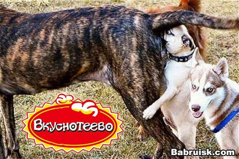 вкуснотеево
