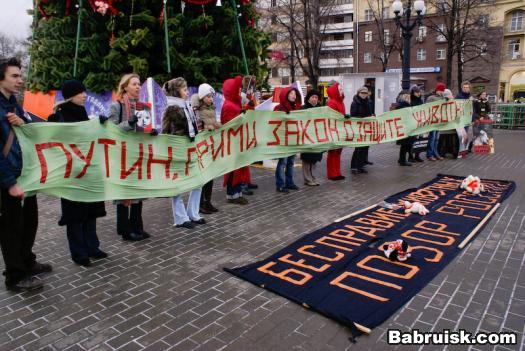 защита прав животных