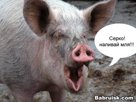 что за праздик без вотки....