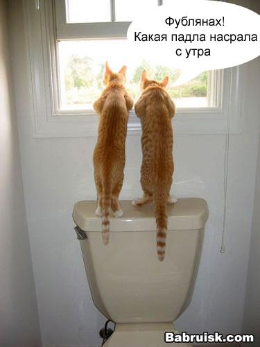 няукасна шопиздец...