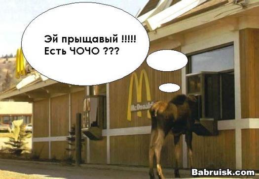 подайте на опохмел