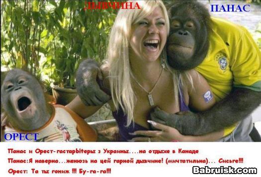 обезьяны и сиськи. В топке не так уж и плохо, господа!