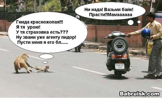 автостархование, каско, осаго, пбоюл и прочая погребень только на бабруйске