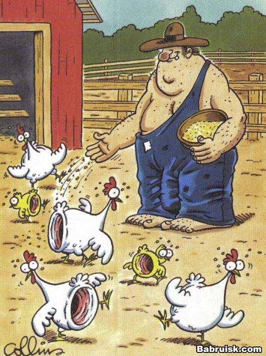 Фермерская зоофилия. секс с курицей. сцуко