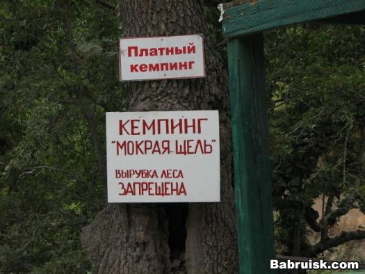 отдых, рыбалка, лучшие шлюхи только в нашем кемпинге! Недорого, скидки, акции, бесплатный анал, бесподобный орал. БДСМ от Бонизоба. проГлот!