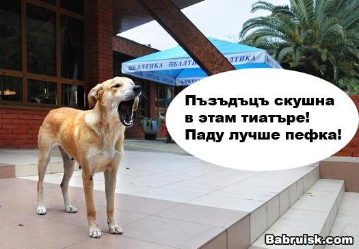 Весь мир театр, а люди в нем актеры...