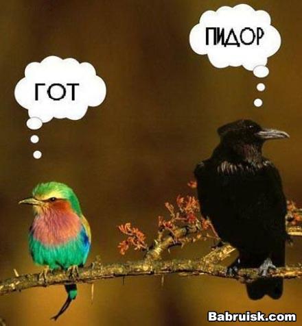 готы, готы, порваны колготы О_о