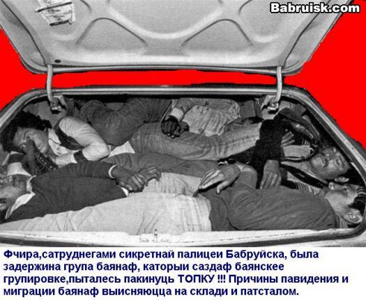 партия контрабандных баянов
