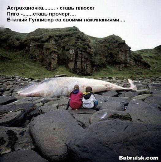гулливер. самый большой человек в мире
