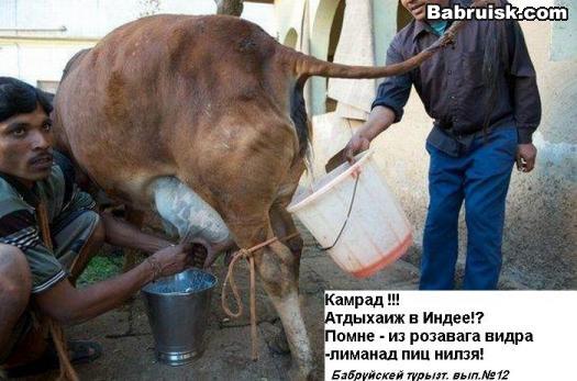 туристические путевки в индию