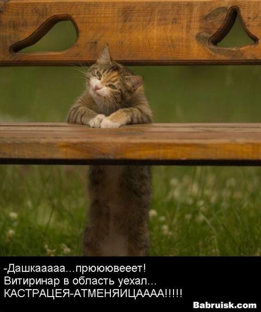 кастрация