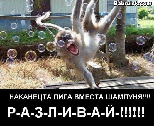 обезьяны