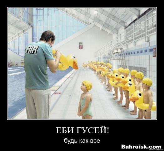 из комода вылез гусь...