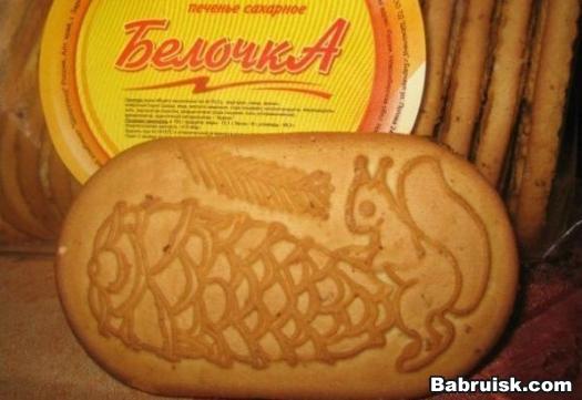 белочка