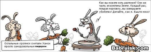 кролики-пидорасы