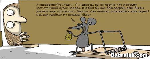наглая мышь