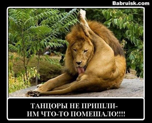дикi танцi