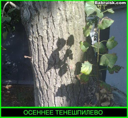 секс в кустах. четыре здоровых мужика в извращенной форме имеют друг друга О_О