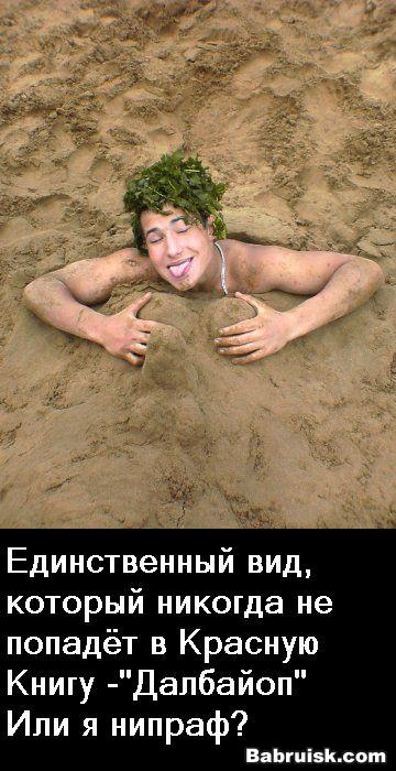 пидар гнойный