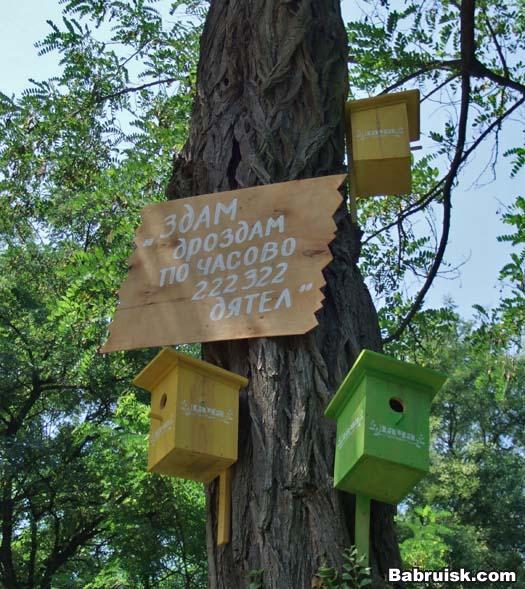 бесплатные объявления