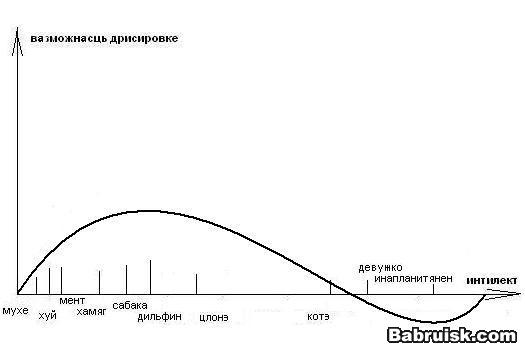 графег-хуйафег. ищем себя.