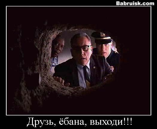 большое дупло