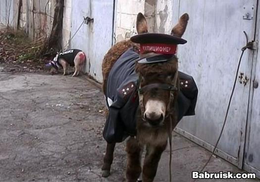 наша милиция нас бережет