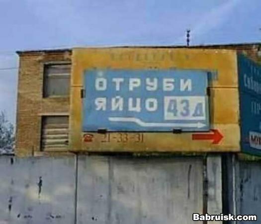 кастрация в домашних условиях