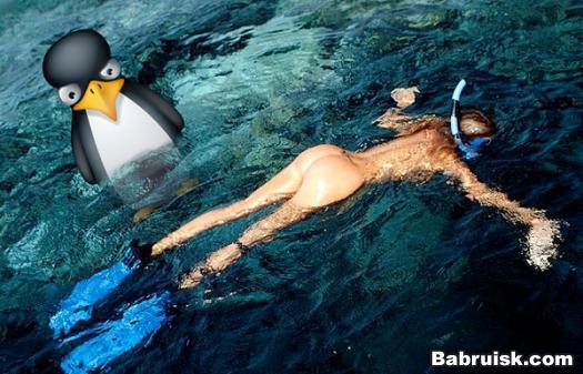 pengv
