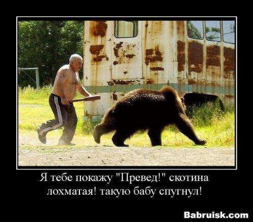 превед