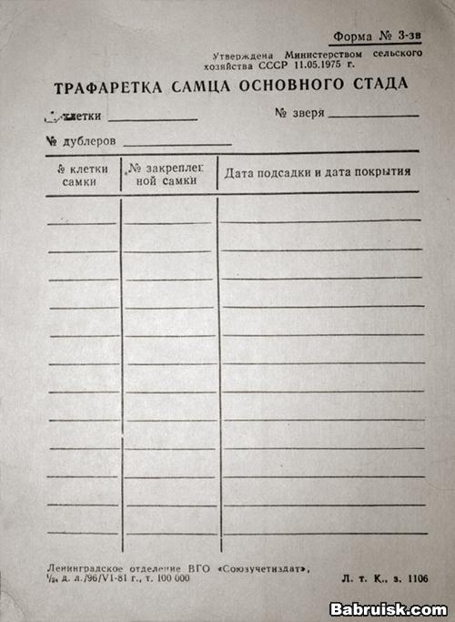 трафарет для животных