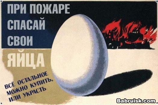 яйца