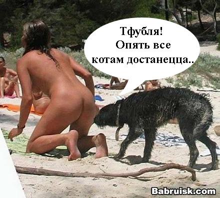 рыбзавод