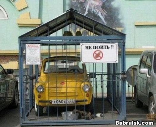 бедняга