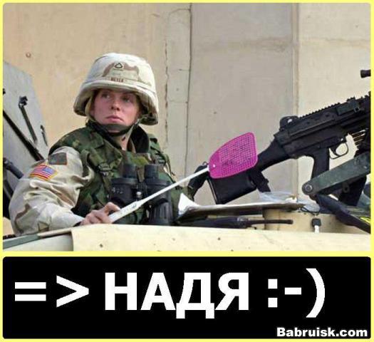 военная мухобойка