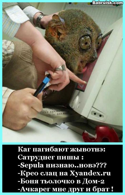 красная книга нашего зоопарка