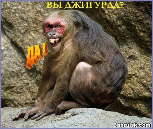 джигурда ахуенвайс