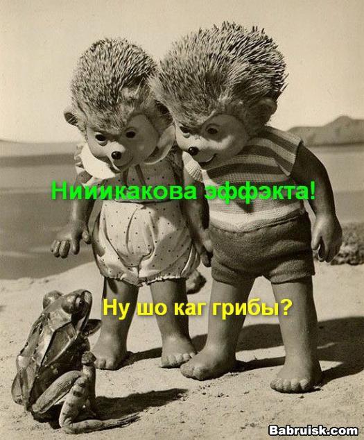 Грибасы. варево из мухоморов. лучшие рецепты