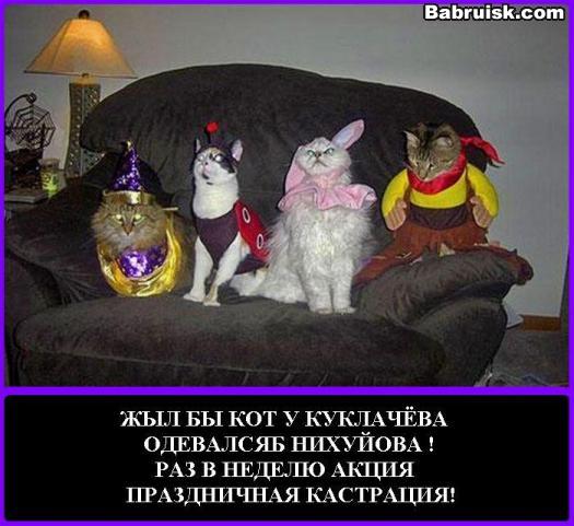праздничная кастрация котов Куклачева и собак Павлова