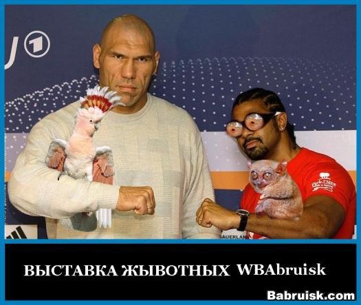 валуев занял первое место на выставке животных