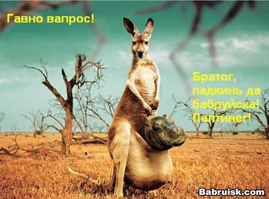 гавно вопрос