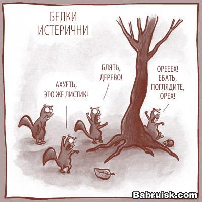 истеричные белки